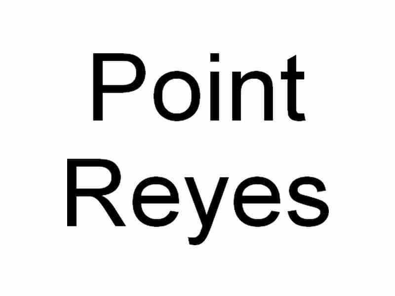 pointreyes.jpg