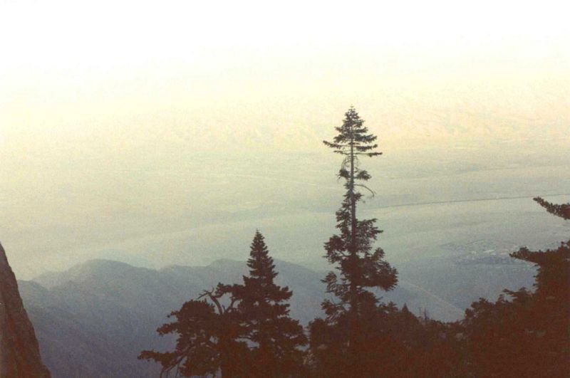 ps006a3.jpg