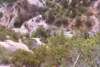 devilspunchbowlb1_192800_small.jpg
