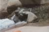 devilspunchbowlc_194800_small.jpg