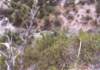 devilspunchbowld1_191800_small.jpg