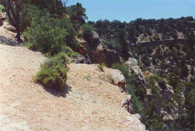 grandcanyon1992_1of11a_183800.jpg