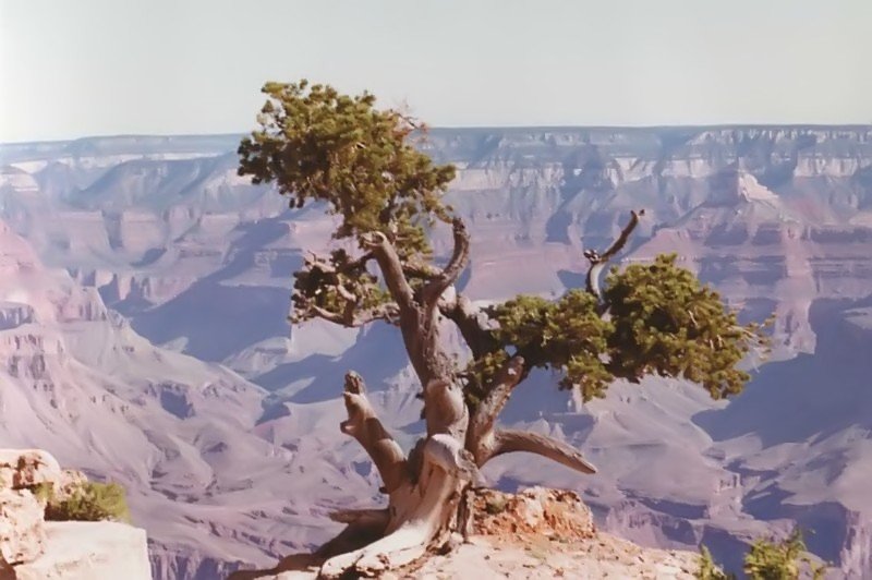 grandcanyon1992a_111a8003.jpg