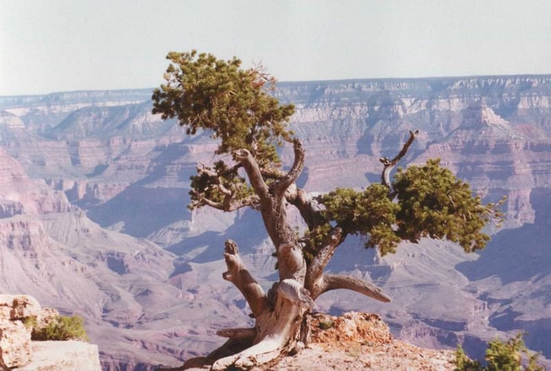 grandcanyon1992a_111a8007.jpg
