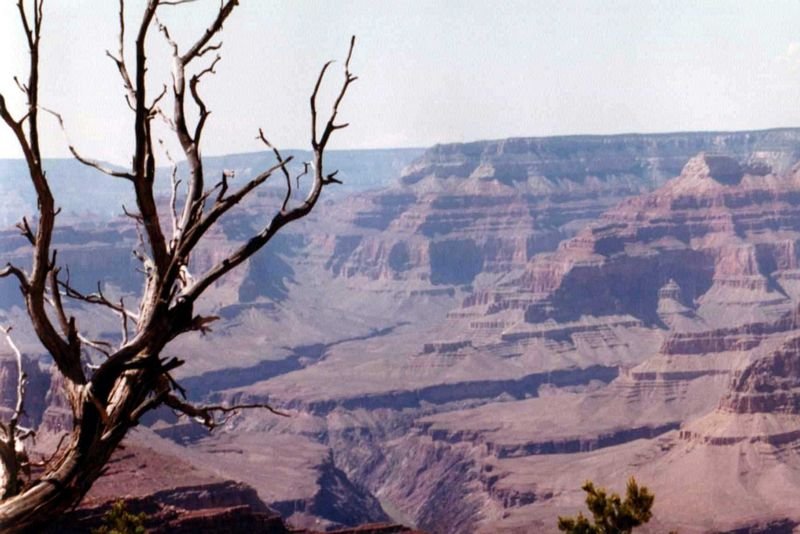 grandcanyon1992b_110a_8002.jpg