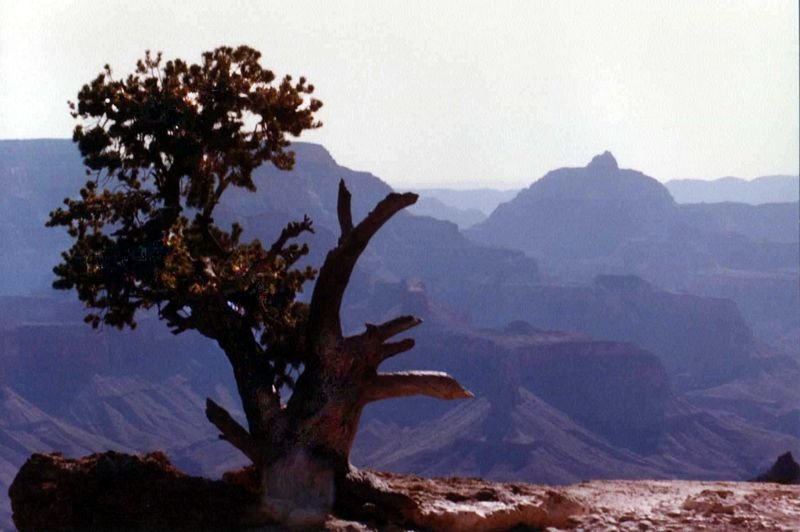grandcanyon1992b_111a_8002.jpg
