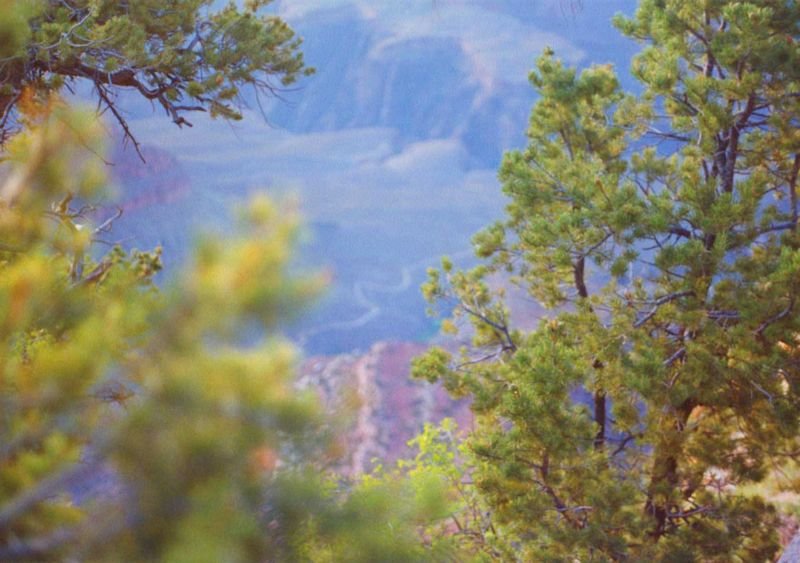 grandcanyond1_162_800.jpg