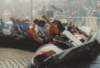 pheidisarahb163800_filtered_small.jpg