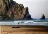 morrobay1999a_045a800_small.jpg