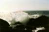 morrojune97_039a2_small.jpg