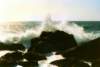 morrojune97_039b3_small.jpg