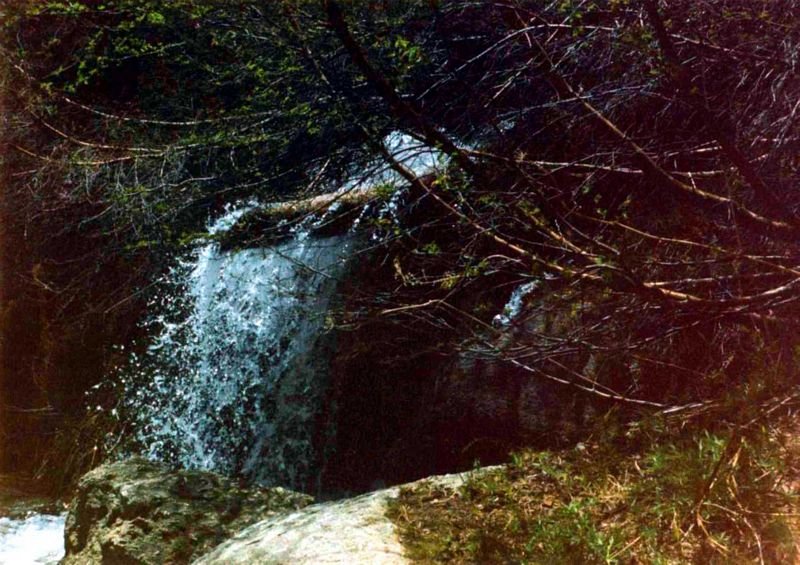 mtwhitneyc120_8002.jpg