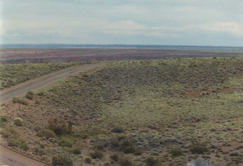petrifiedmay1994_1of11_203800.jpg