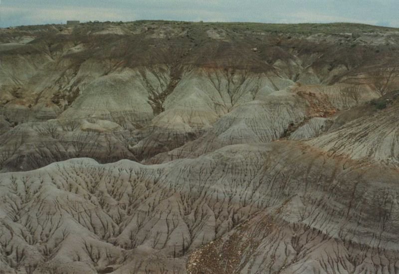 petrifiedmay1994_2of9_209800.jpg