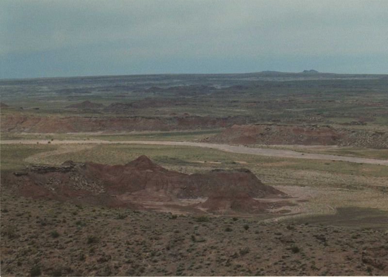 petrifiedmay1994_8of11_204800.jpg