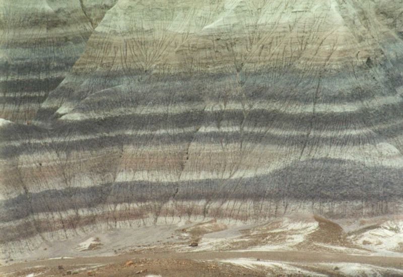petrifiedmay1994a_209800.jpg