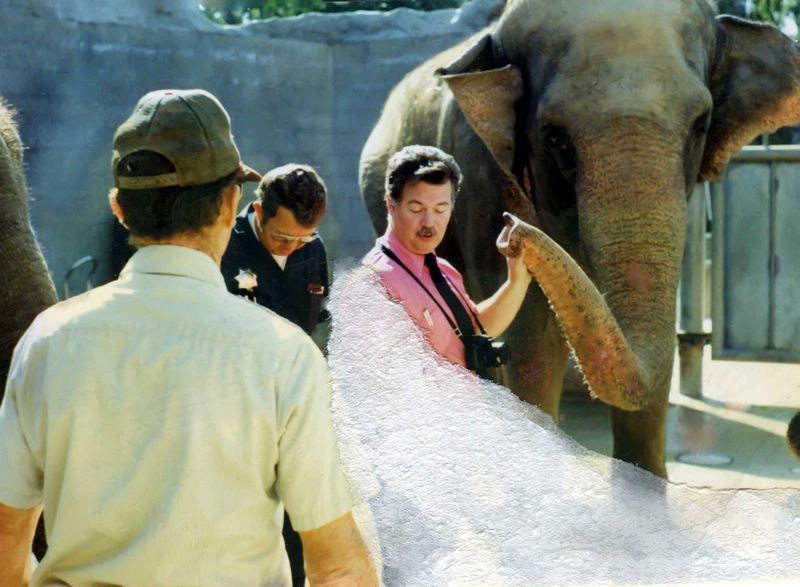 philelephant014_filtereda.jpg