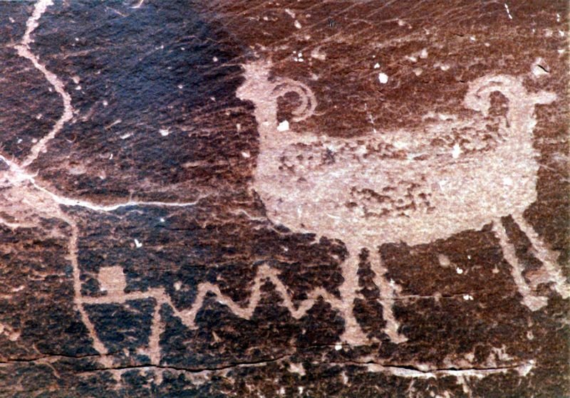 moutahb129a_8002.jpg