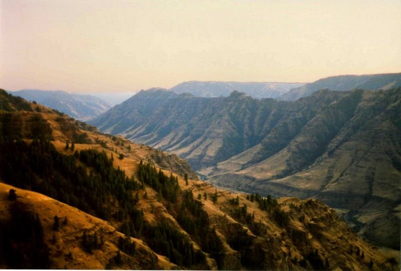 idaho_184c2.jpg