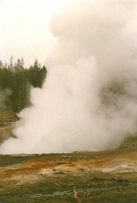 echinusgeyser279.jpg