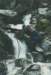 dadyosemite011_filtered_small.jpg