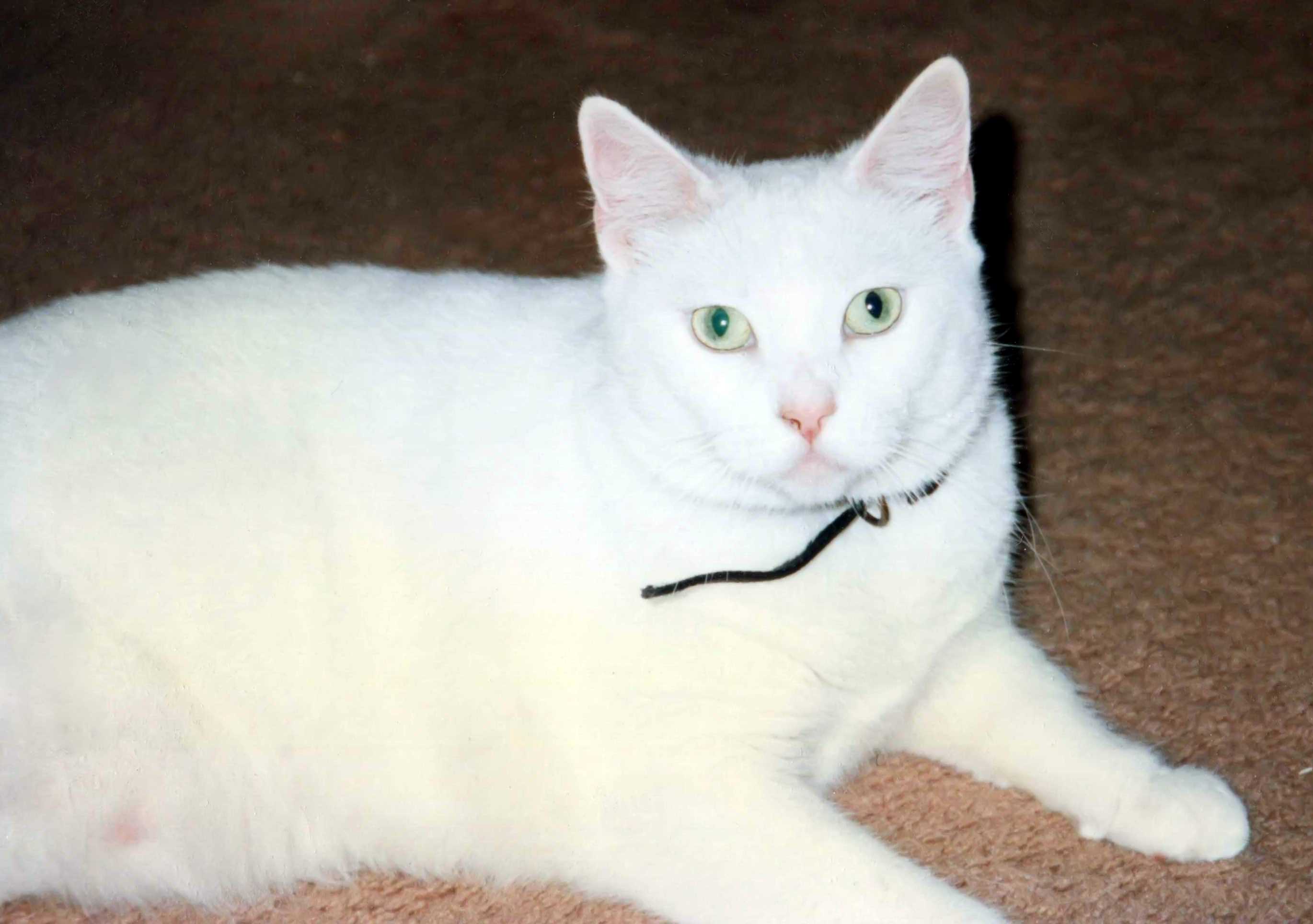 tk017_filtereda.jpg