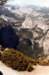 yosemite027_filtered_small.jpg