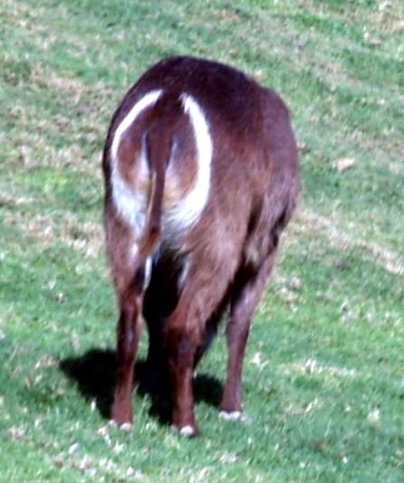 a67.jpg