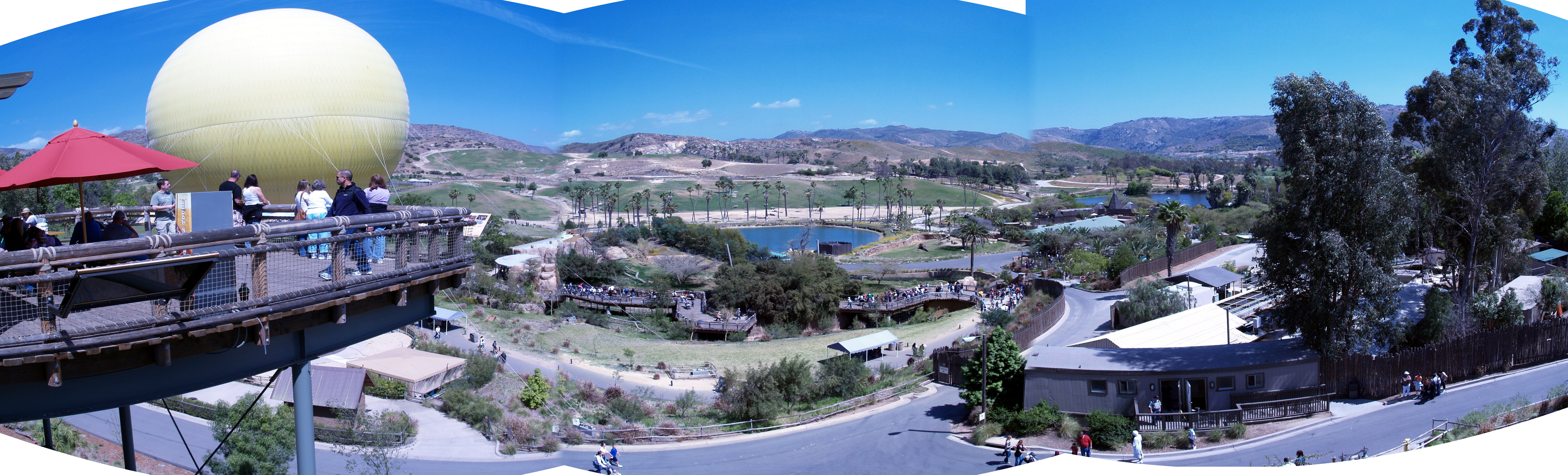 lionpano.jpg