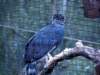 photo100_small.jpg