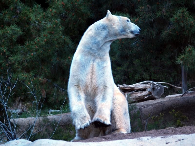 photo162.jpg