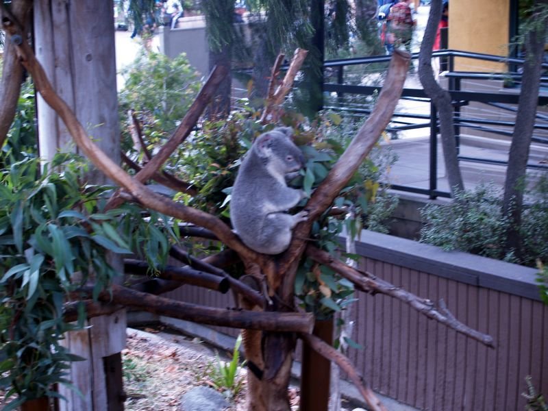photo20.jpg