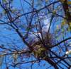 photo250_small.jpg