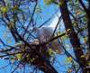 photo252_small.jpg