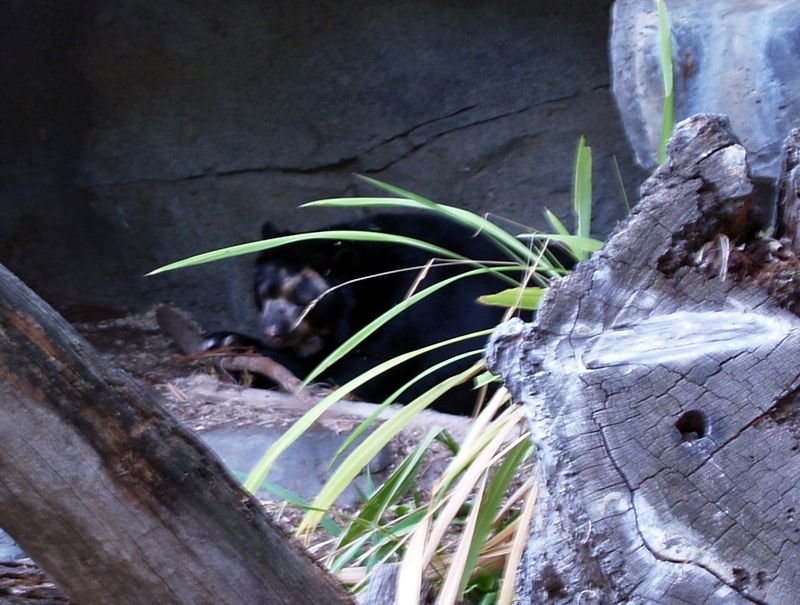 photo27.jpg