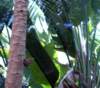 photo281_small.jpg