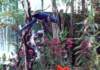photo287_small.jpg