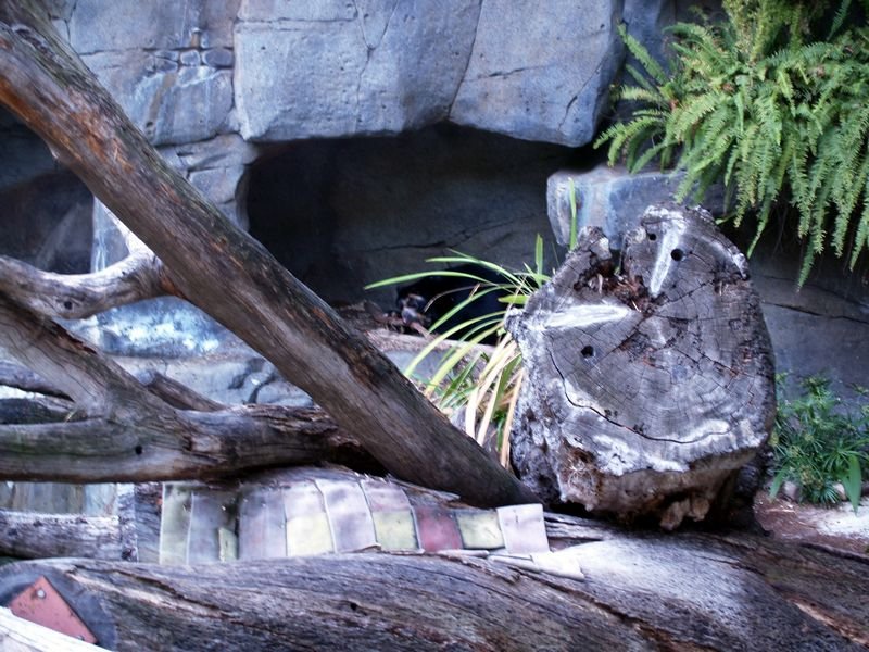 photo29.jpg