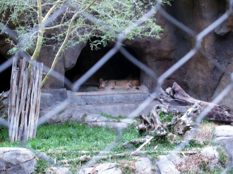 photo30.jpg