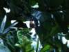 photo309_small.jpg