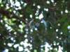 photo334_small.jpg