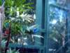 photo342_small.jpg