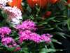 photo348_small.jpg