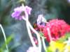 photo350_small.jpg