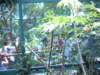 photo353_small.jpg