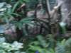 photo361_small.jpg