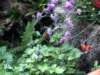 photo362_small.jpg