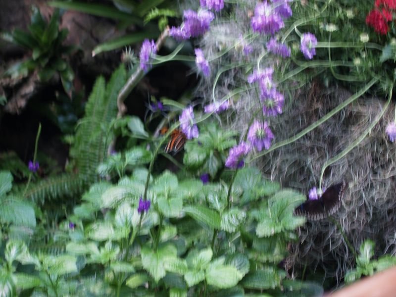 photo363.jpg