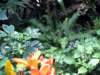 photo371_small.jpg