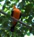 photo380_small.jpg